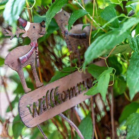Im Oberdorf Apartment Achern Luaran gambar